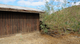 Enlarge photo 55