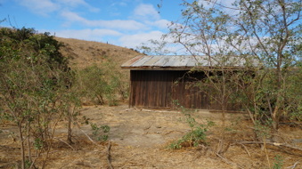 Enlarge photo 54