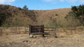 Enlarge photo 56