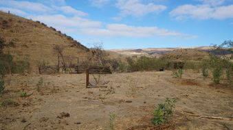 Enlarge photo 58