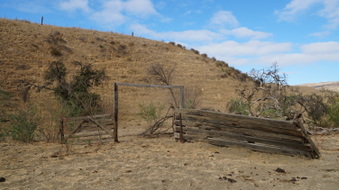 Enlarge photo 59