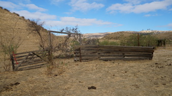 Enlarge photo 60