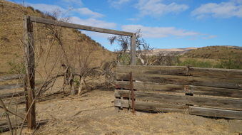 Enlarge photo 62