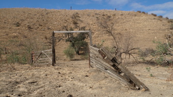 Enlarge photo 61