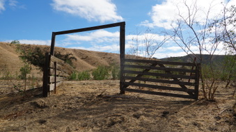 Enlarge photo 63