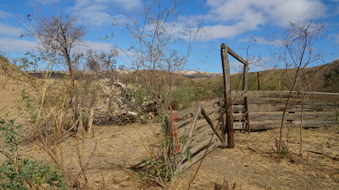 Enlarge photo 65