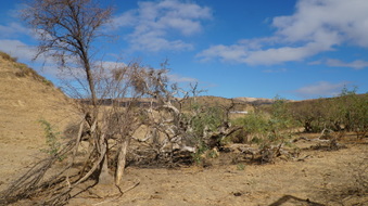Enlarge photo 66