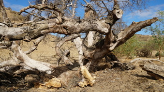 Enlarge photo 69