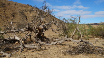 Enlarge photo 70