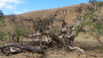 Enlarge photo 71