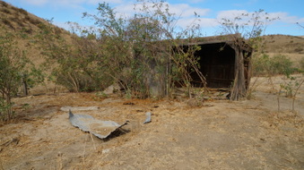 Enlarge photo 74