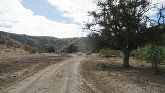 Enlarge photo 78
