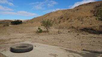 Enlarge photo 85