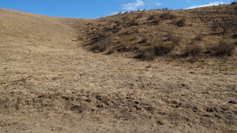Enlarge photo 98