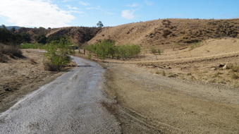 Enlarge photo 104