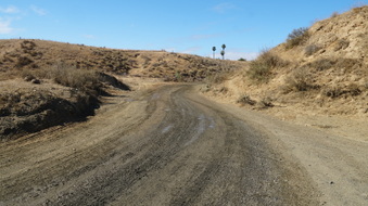 Enlarge photo 105