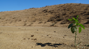 Enlarge photo 120