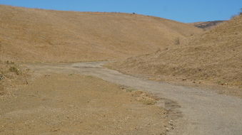 Enlarge photo 134