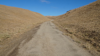 Enlarge photo 137