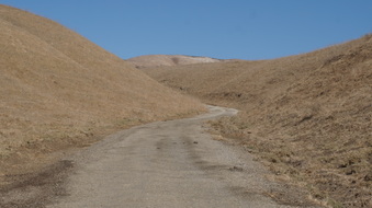 Enlarge photo 140