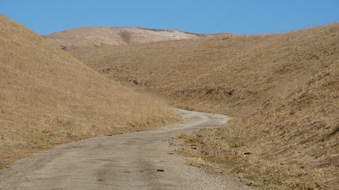 Enlarge photo 141