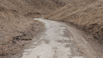 Enlarge photo 148