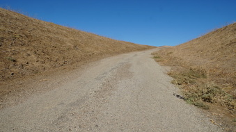 Enlarge photo 146
