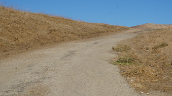 Enlarge photo 147