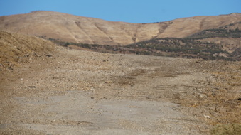 Enlarge photo 152