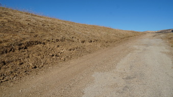 Enlarge photo 153