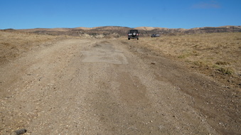 Enlarge photo 155