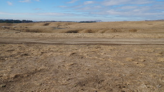 Enlarge photo 158