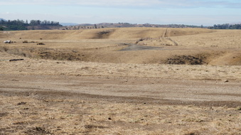 Enlarge photo 160
