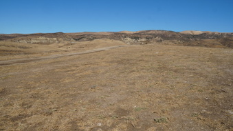 Enlarge photo 162