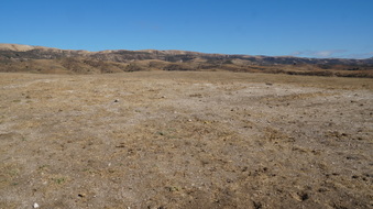 Enlarge photo 161