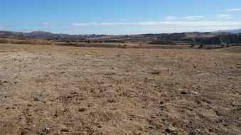 Enlarge photo 165
