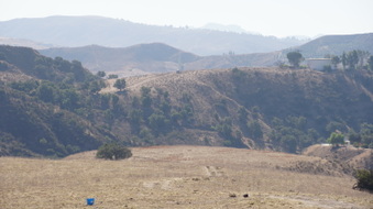 Enlarge photo 169