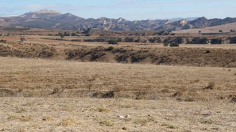 Enlarge photo 171