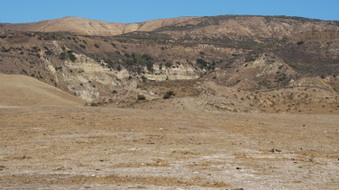 Enlarge photo 172