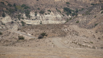 Enlarge photo 173