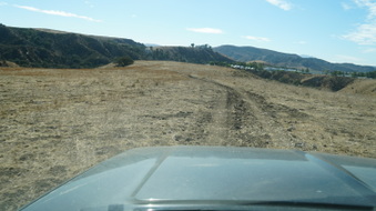 Enlarge photo 178