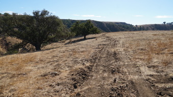 Enlarge photo 182