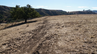 Enlarge photo 187