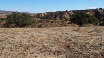 Enlarge photo 185