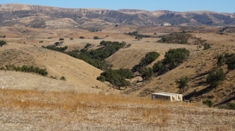 Enlarge photo 190