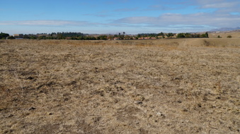 Enlarge photo 199