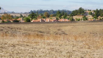 Enlarge photo 191