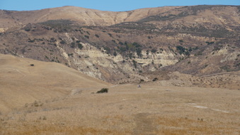 Enlarge photo 192