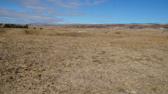 Enlarge photo 193
