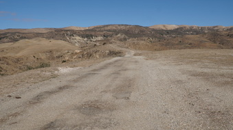 Enlarge photo 198